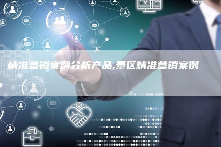 精准营销案例分析产品,景区精准营销案例